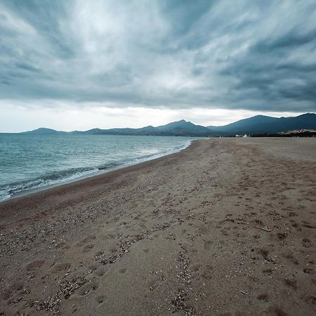 Appartement T2 Les Pieds Dans L'Eau A Argelès-sur-Mer Exterior foto
