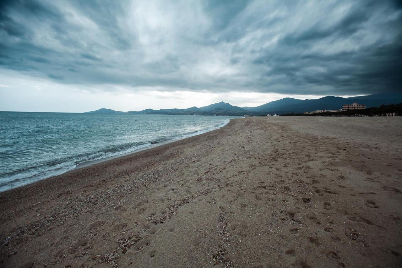 Appartement T2 Les Pieds Dans L'Eau A Argelès-sur-Mer Exterior foto