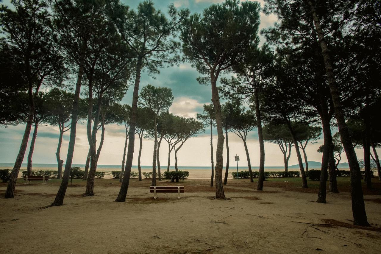 Appartement T2 Les Pieds Dans L'Eau A Argelès-sur-Mer Exterior foto